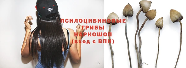мдпв Заволжье