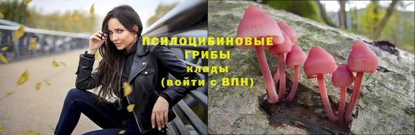 ALPHA-PVP Заводоуковск