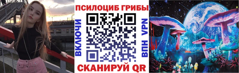 как найти закладки  Димитровград  Галлюциногенные грибы мухоморы 