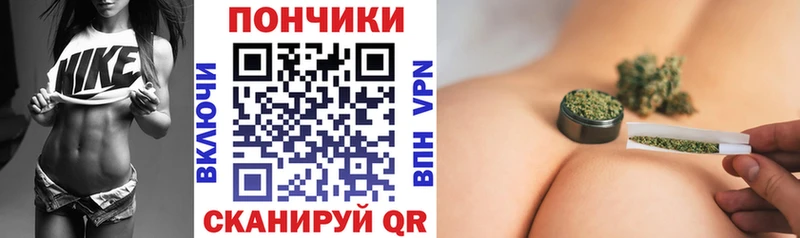 Конопля ГИДРОПОН  где продают наркотики  Димитровград 